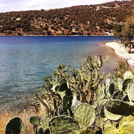 Apartment Spacious Sea Front - Porto Bouffalo - Evia
